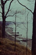 View north along the beach